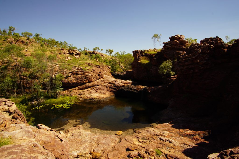 Illustration for article titled AWOL Around Australia... Lorella Springs Station.